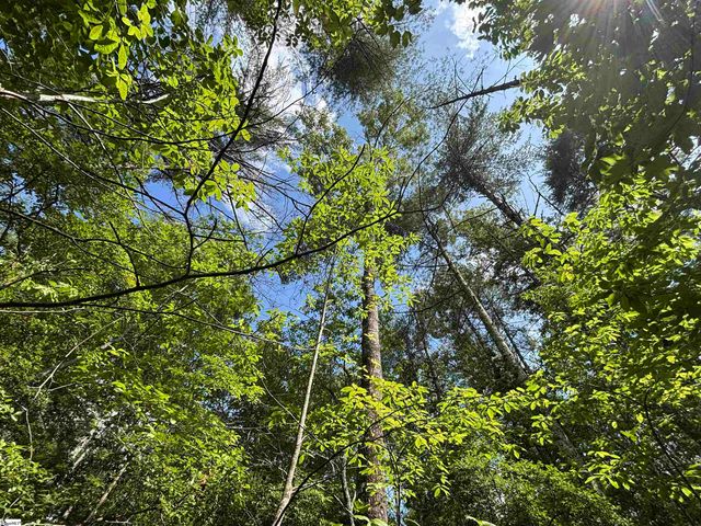 106 Dutchmans Pipe Trail, Sunset, SC 29685