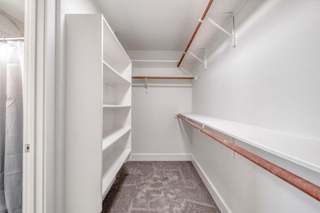 277 Paddington DR, Kyle, TX 78640