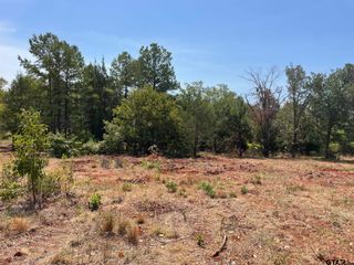 12340 Hackberry Hollow, Tyler, TX 75706