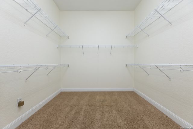 12419 Alstroemeria, San Antonio, TX 78253