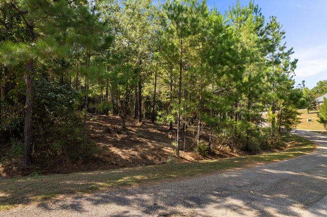 14 Rabbit Trail, Hattiesburg, MS 39402