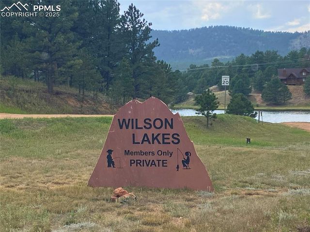 60 Pickens Road, Florissant, CO 80816