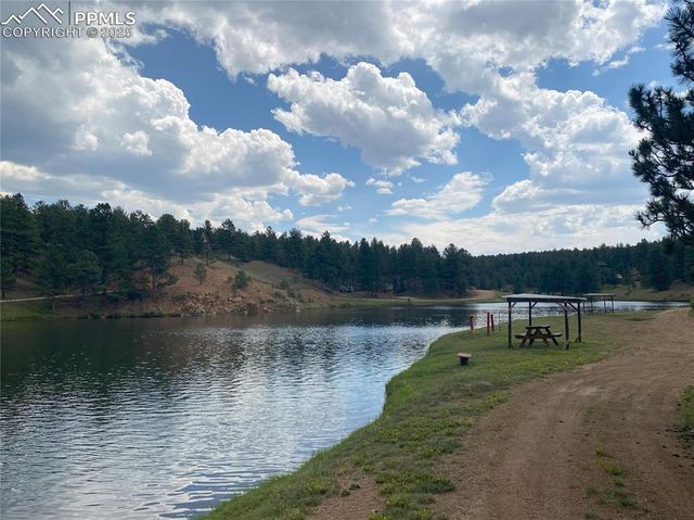 60 Pickens Road, Florissant, CO 80816