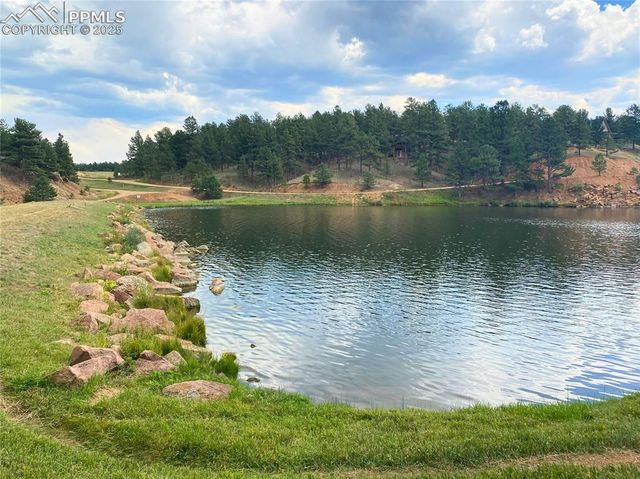 60 Pickens Road, Florissant, CO 80816