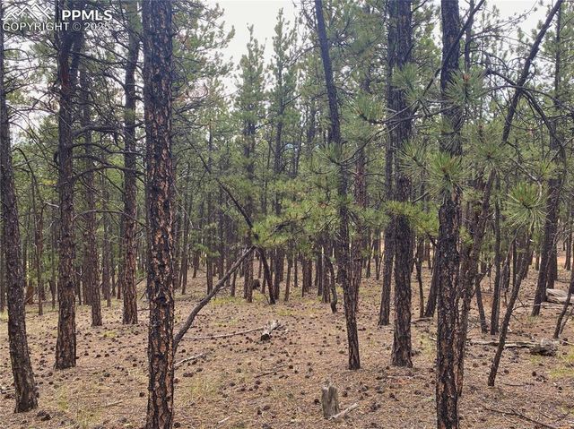 60 Pickens Road, Florissant, CO 80816