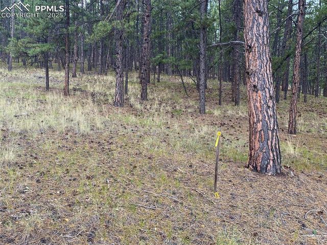 60 Pickens Road, Florissant, CO 80816