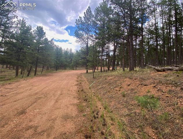 60 Pickens Road, Florissant, CO 80816