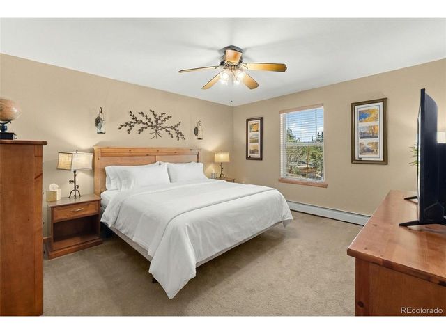 7116 County Road 92, Lake George, CO 80827