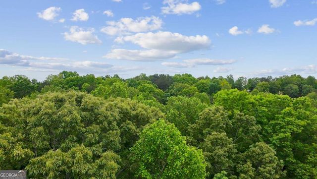 290 River Sound Lane, Dawsonville, GA 30534