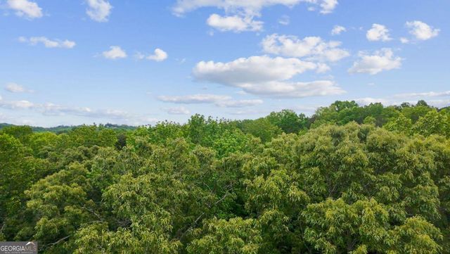 290 River Sound Lane, Dawsonville, GA 30534