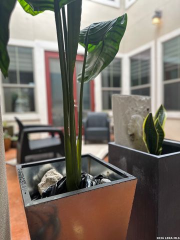 4171 Texas Elm, San Antonio, TX 78230