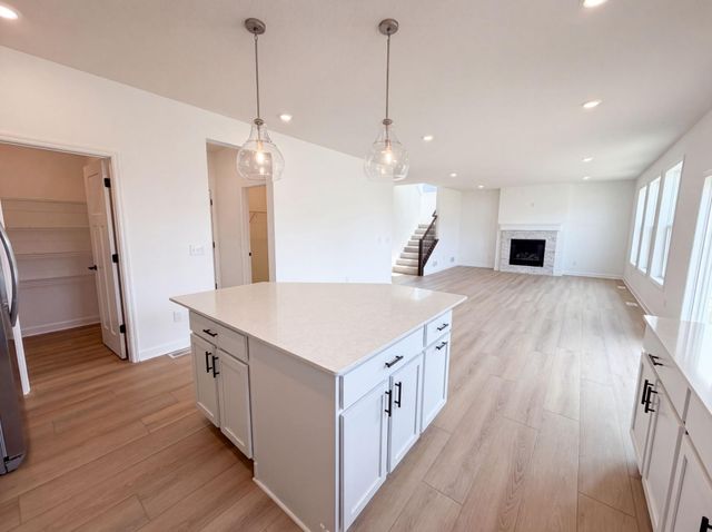 8239 Large Avenue NE, Otsego, MN 55301