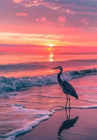 560 109th AVE N, Naples, FL 34108