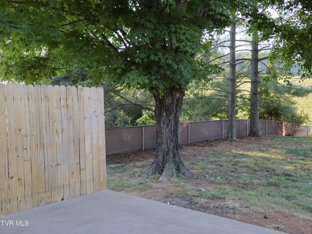 527 Spruce Street, Mount Carmel, TN 37645