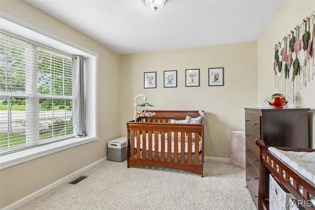408 Caddy Court, St Clair, MO 63077