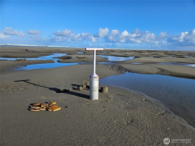 30311 U Place, Ocean Park, WA 98640