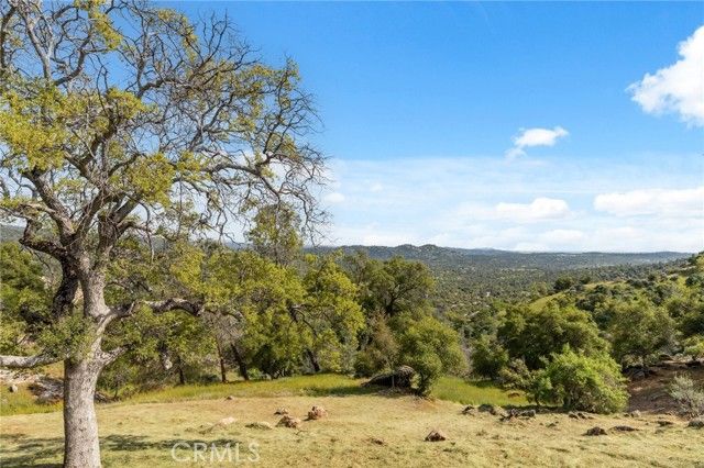 31021 Blue Heron, Coarsegold, CA 93614