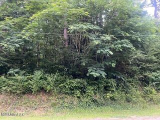 Hillside Drive, Potts Camp, MS 38659