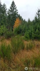 1140 1180 W California Road, Shelton, WA 98584