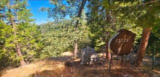 25126 Jewel Drive, Crestline, CA 92325