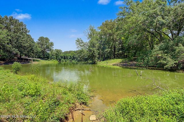 7673 Delta Lakes Boulevard, Walls, MS 38680