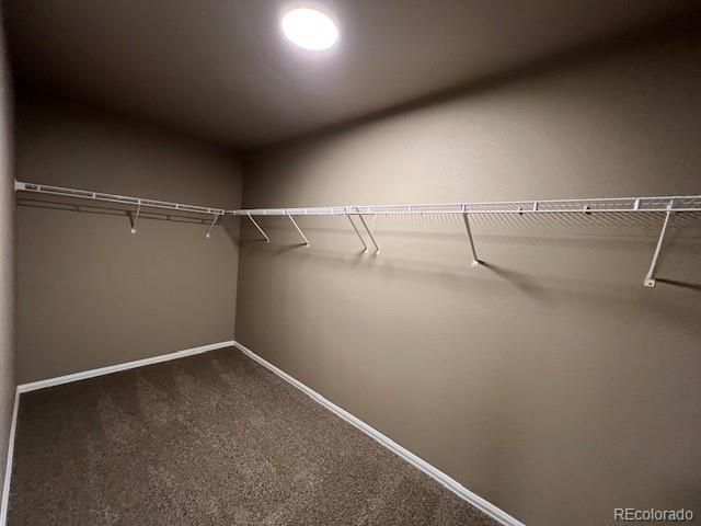 7806 Carrside Grove, Colorado Springs, CO 80951