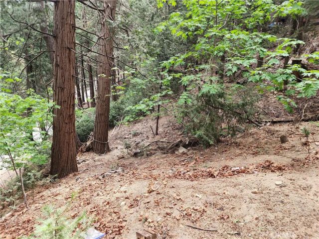 1023 Mercury, Crestline, CA 92325
