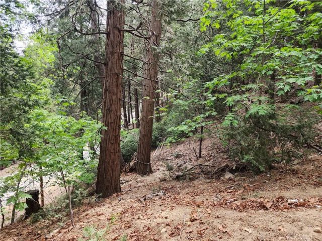 1023 Mercury, Crestline, CA 92325