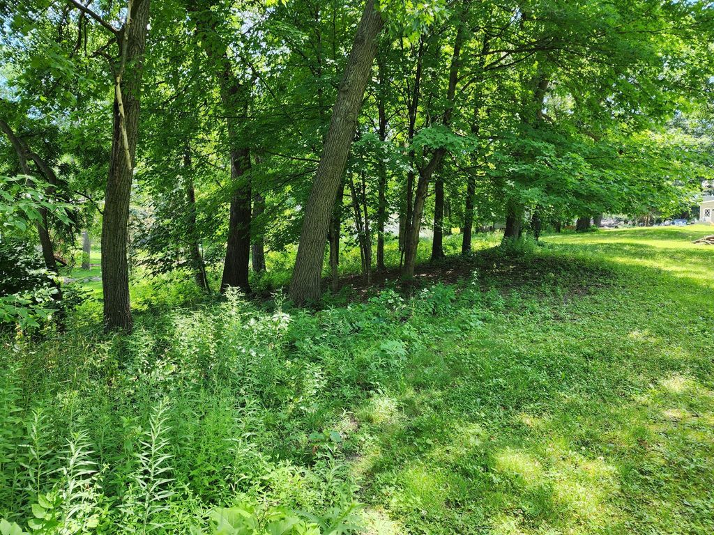 6381 Walnut Road, Mound, MN 55364 — photo 5