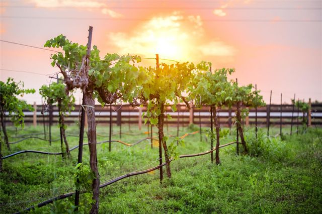 3206 Cranberry Creek Loop, Richmond, TX 77406