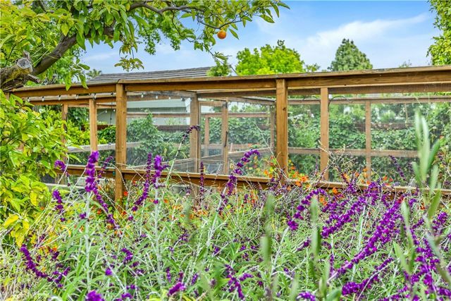 31852 Paseo Alto Plano, San Juan Capistrano, CA 92675