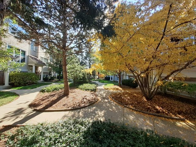11 E Illinois Avenue, Palatine, IL 60067