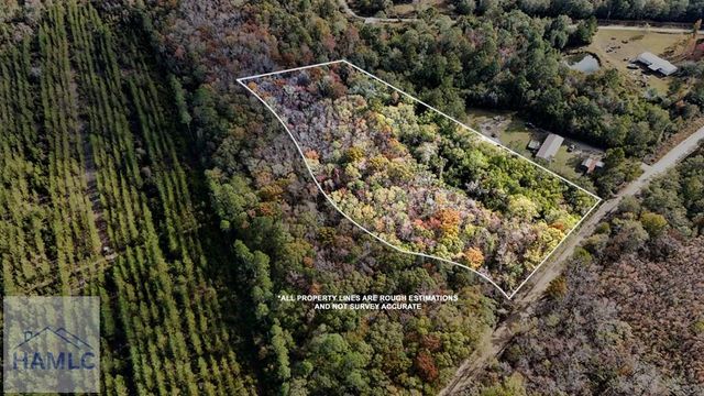 3.86 Smiley Road NE, Ludowici, GA 31316