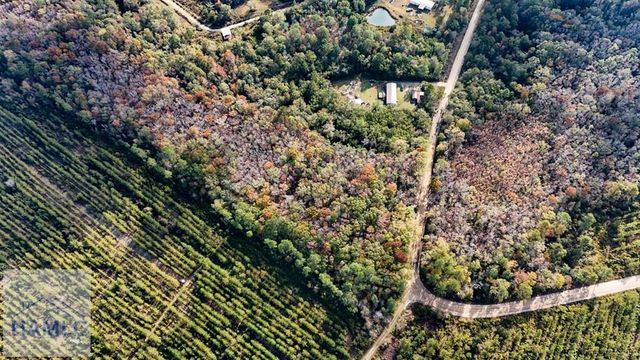 3.86 Smiley Road NE, Ludowici, GA 31316