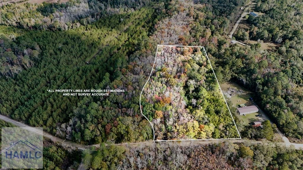 3.86 Smiley Road NE, Ludowici, GA 31316