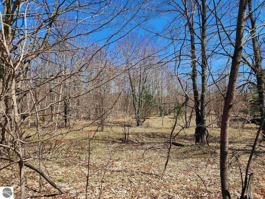 Image 2 of property listing at VL Wilamont Circle, Mancelona, MI 49659