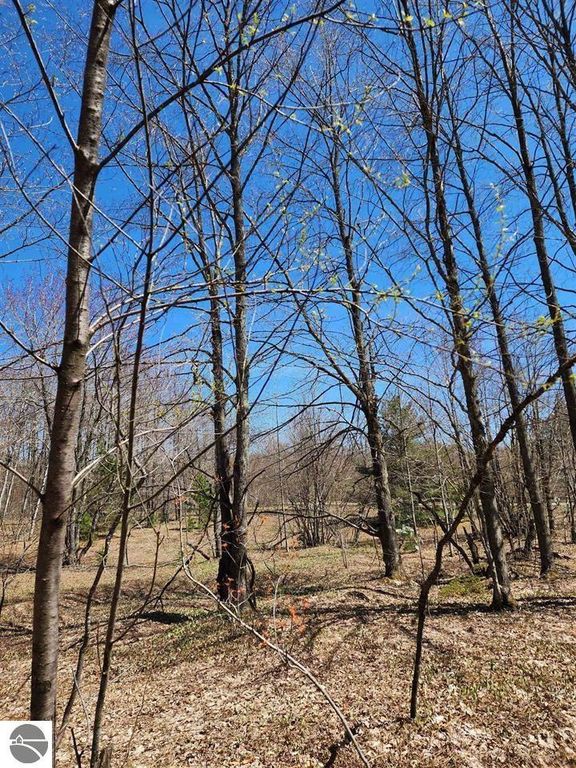 Image 3 of property listing at VL Wilamont Circle, Mancelona, MI 49659