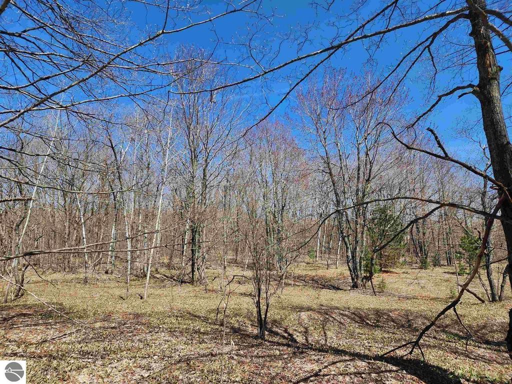 Image 4 of property listing at VL Wilamont Circle, Mancelona, MI 49659