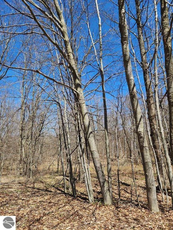 Image 5 of property listing at VL Wilamont Circle, Mancelona, MI 49659