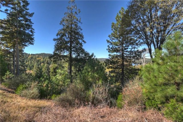 115 Mill Pond, Lake Arrowhead, CA 92352