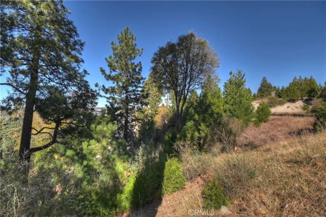 115 Mill Pond, Lake Arrowhead, CA 92352