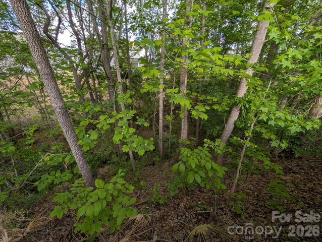 746 Ladino Lane, Clover, SC 29710