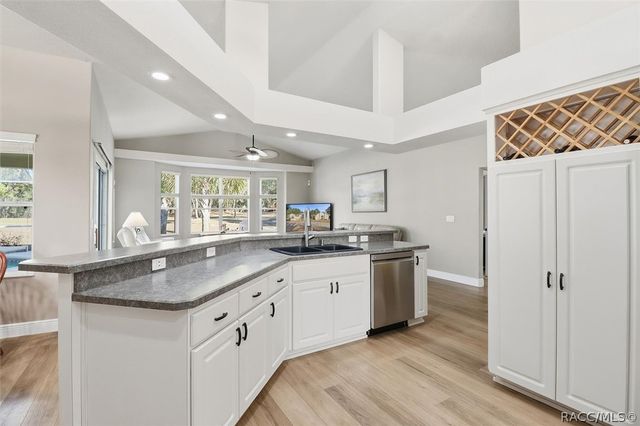 6017 N Canyon Drive, Beverly Hills, FL 34465