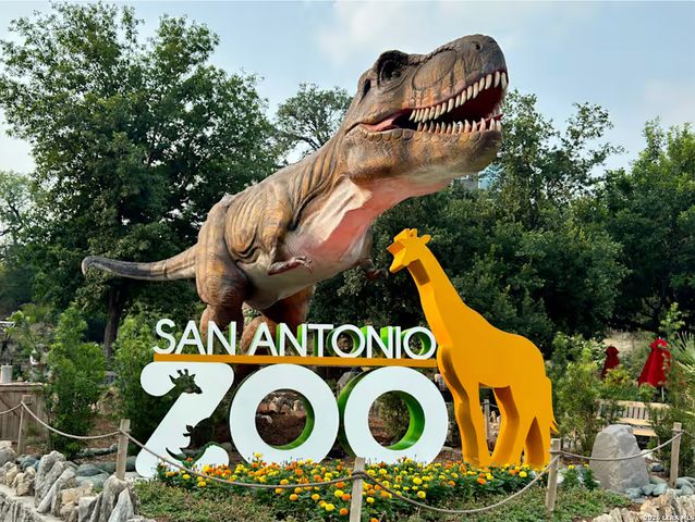 608 mulberry, San Antonio, TX 78212