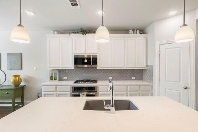 1030 Bat Hawk Court, Conroe, TX 77385