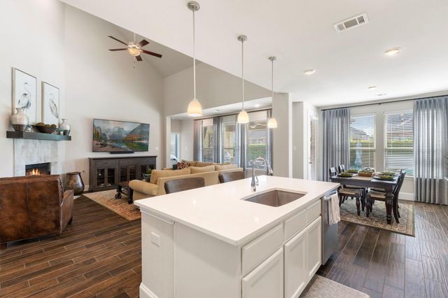 1030 Bat Hawk Court, Conroe, TX 77385