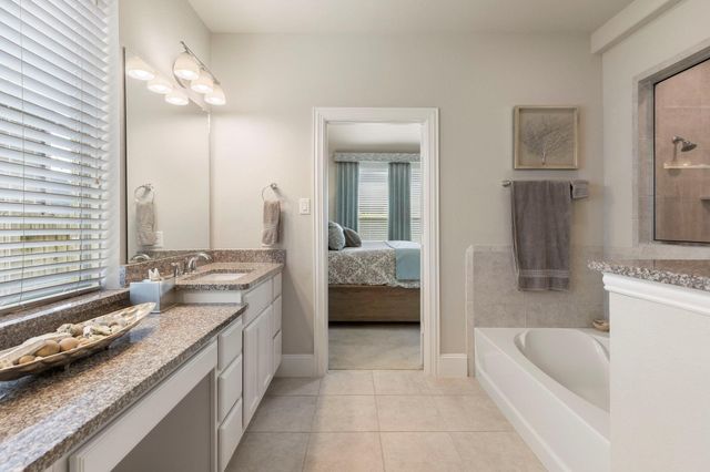 1030 Bat Hawk Court, Conroe, TX 77385