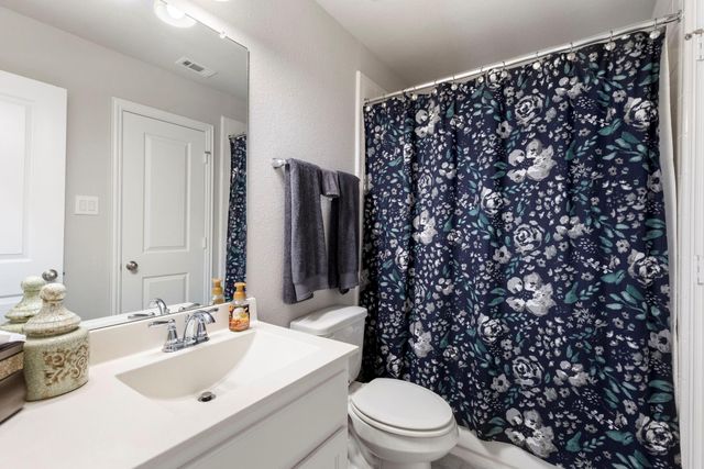 1030 Bat Hawk Court, Conroe, TX 77385