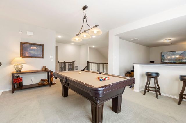 1030 Bat Hawk Court, Conroe, TX 77385