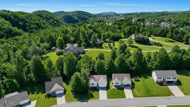 170 Brighton Place, Bristol, TN 37620